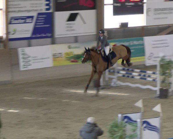 Reitturnier Schaffhausen 2025