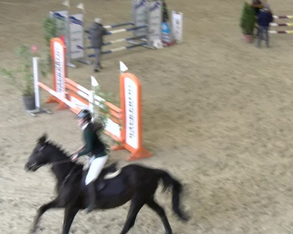 Reitturnier Schaffhausen 2025