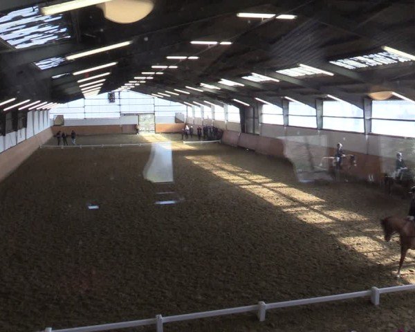 Reitturnier Datteln 2025