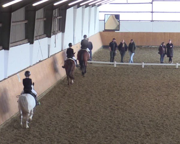 Reitturnier Datteln 2025