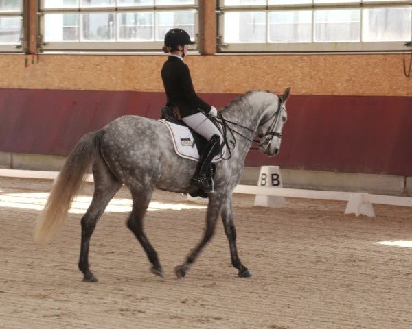 Reitturnier Balingen 2025