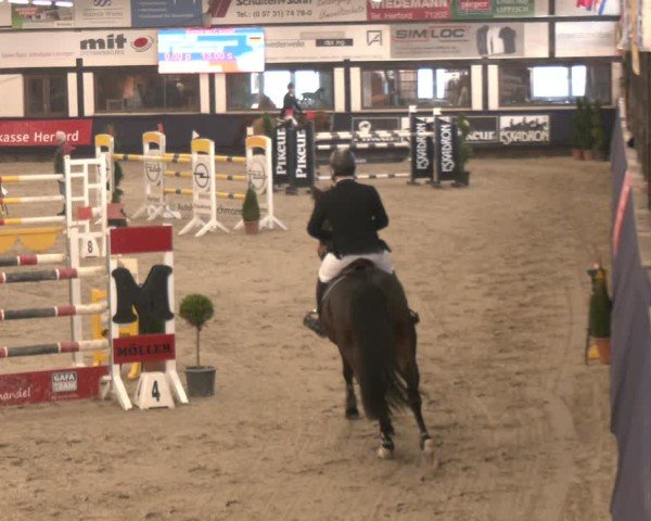 Reitturnier Exter 2025