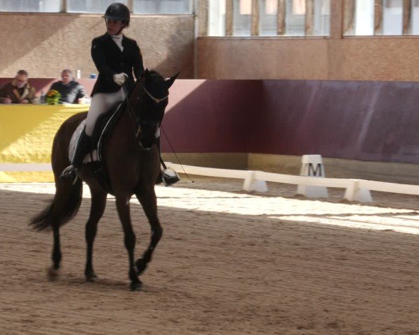 Reitturnier Balingen 2025