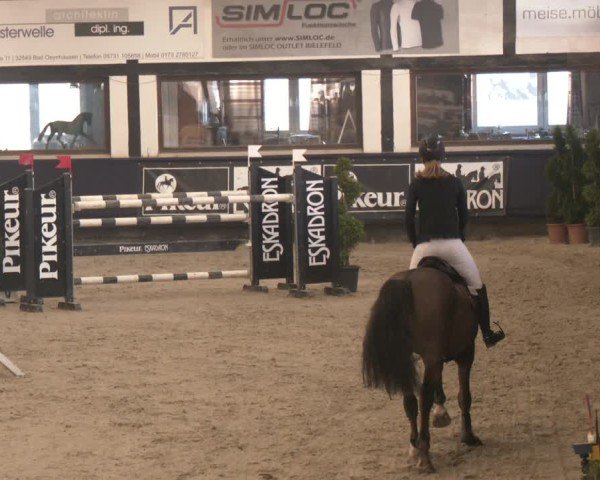 Reitturnier Exter 2025