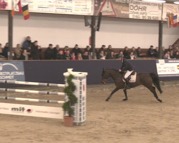 Reitturnier Exter 2025