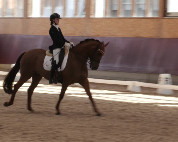 Reitturnier Balingen 2025