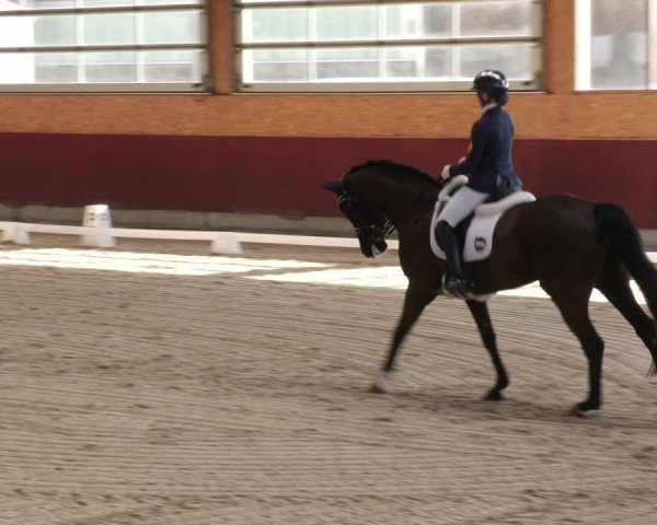 Reitturnier Balingen 2025
