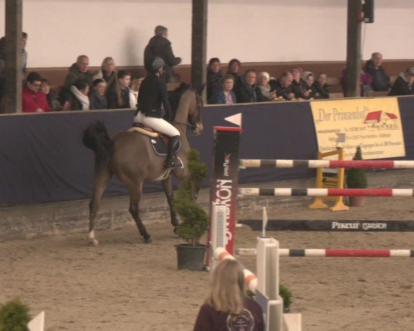 Reitturnier Exter 2025