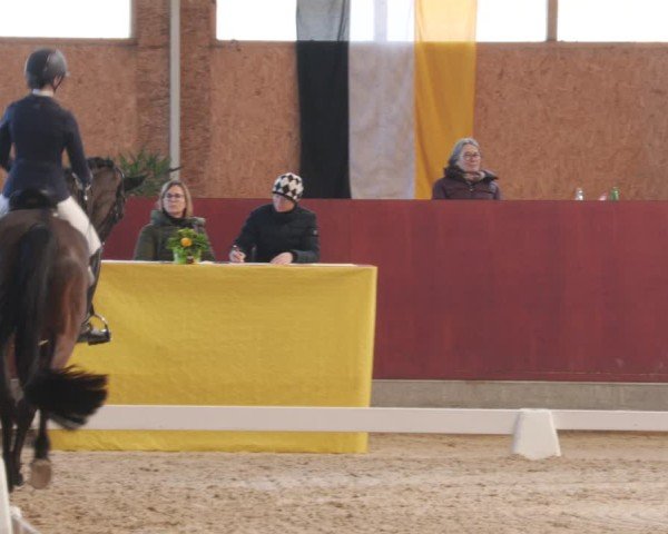 Reitturnier Balingen 2025