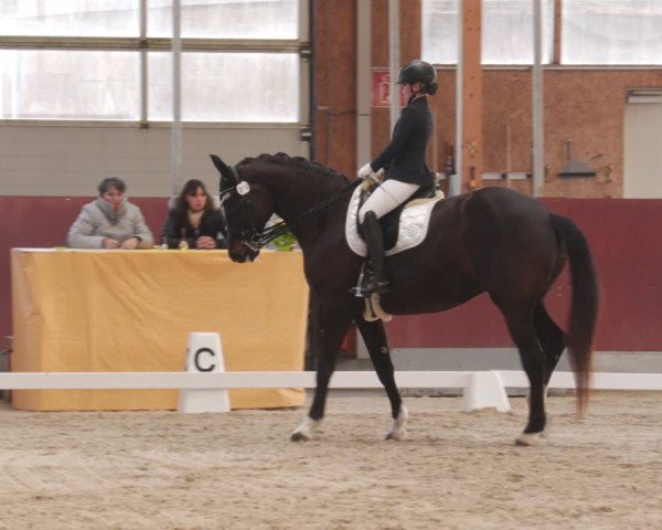 Reitturnier Balingen 2025