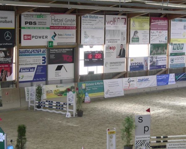 Reitturnier Schaffhausen 2025