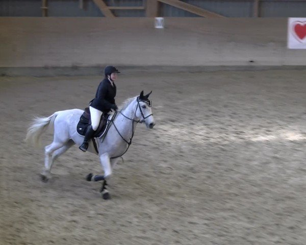 Reitturnier Schaffhausen 2025
