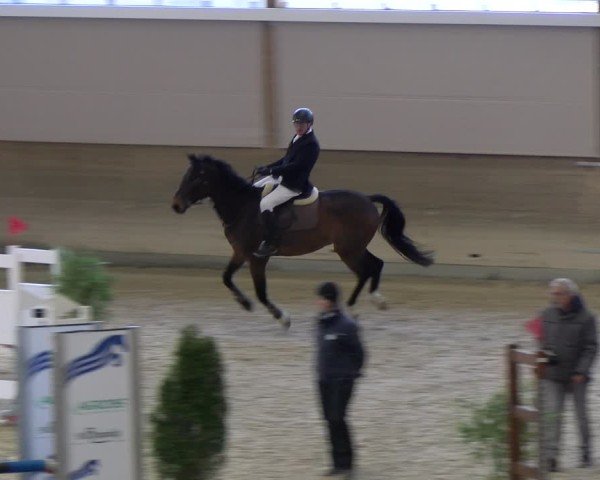 Reitturnier Schaffhausen 2025