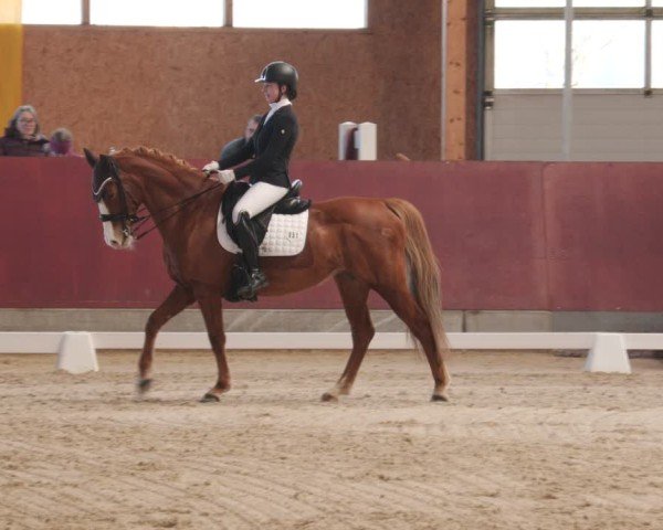 Reitturnier Balingen 2025