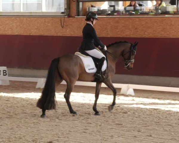 Reitturnier Balingen 2025
