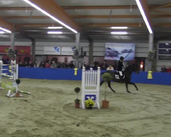 6. Isterberger Euregio-Hallen Springturnier vom 10.-13.10.2013