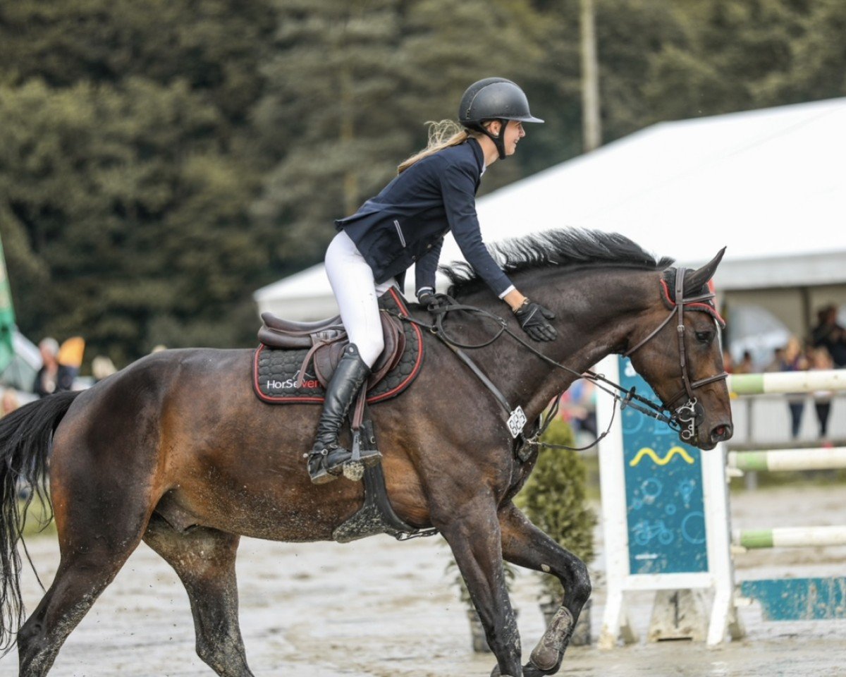 Caballo de salto Hello Again 7 (Holsteiner, 2016, de Cornet Obolensky)