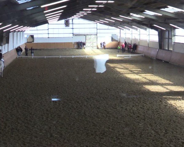 Reitturnier Datteln 2025