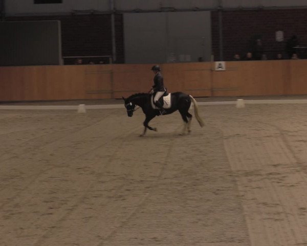Reitturnier Güstrow/Cavallo Arena 2021