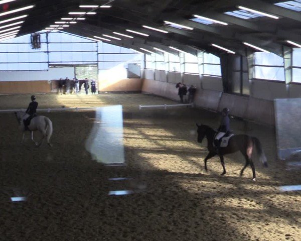 Reitturnier Datteln 2025