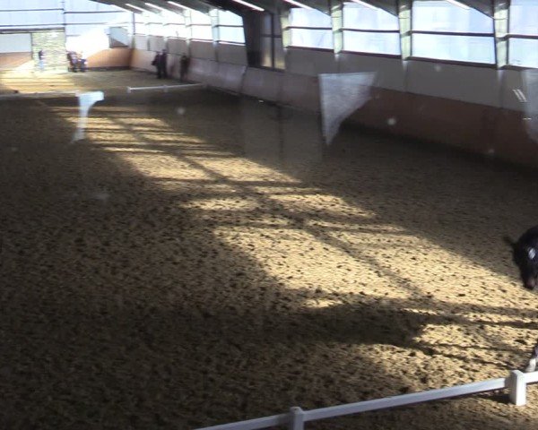 Reitturnier Datteln 2025