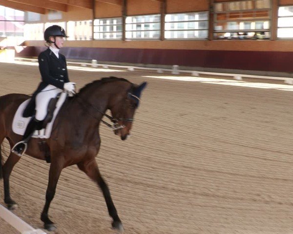 Reitturnier Balingen 2025