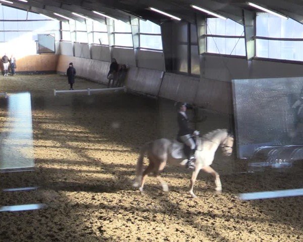 Reitturnier Datteln 2025
