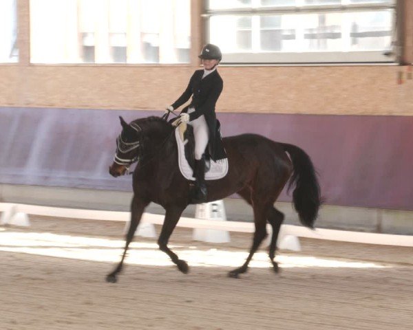 Reitturnier Balingen 2025