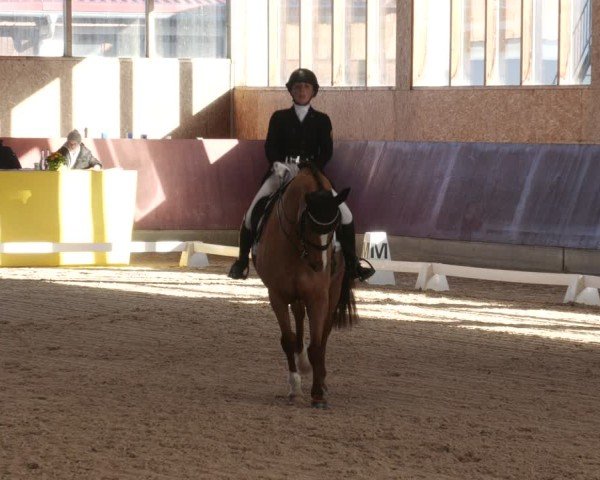Reitturnier Balingen 2025