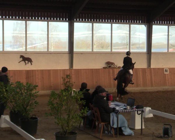 Reitturnier Werne 2025