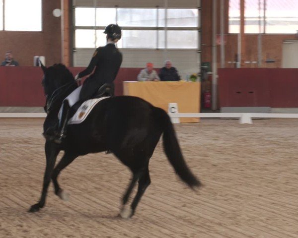 Reitturnier Balingen 2025