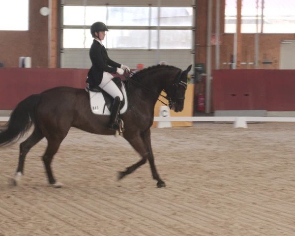 Reitturnier Balingen 2025