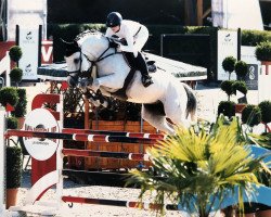 broodmare Chelsea 130 (Westphalian, 2010, from Congress)
