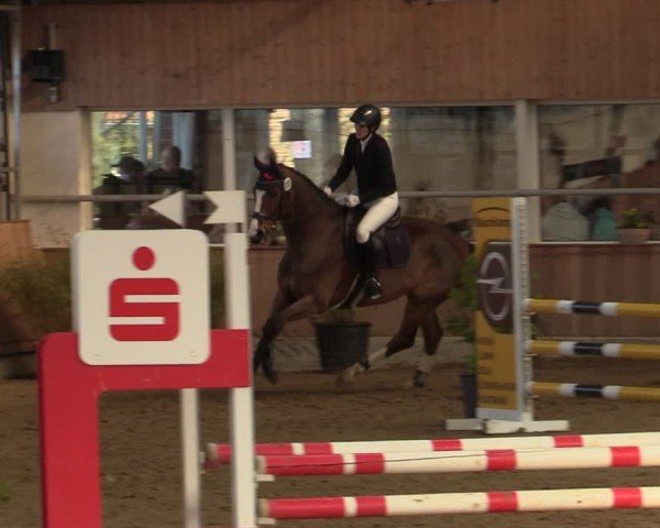 Reitturnier Werne 2025