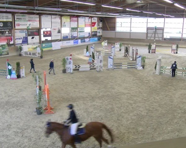 Reitturnier Schaffhausen 2025
