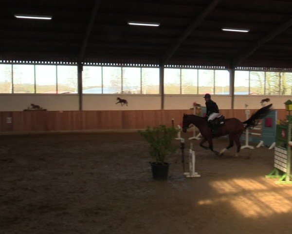 Reitturnier Werne 2025