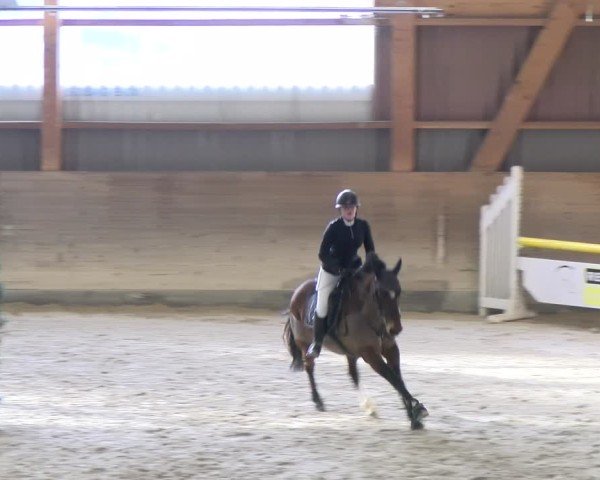 Reitturnier Schaffhausen 2025