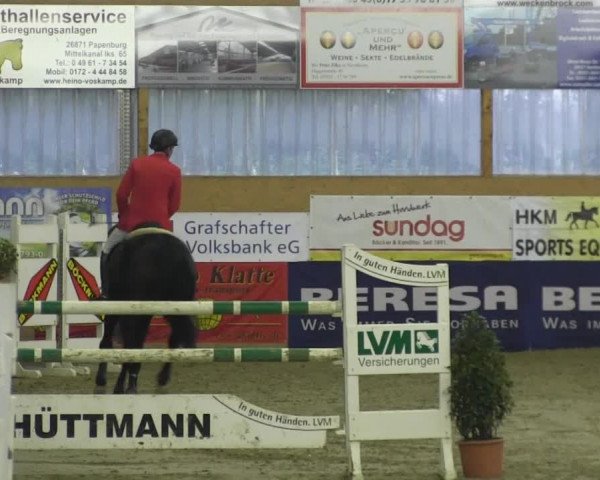 Reitturnier Isterberg 2013