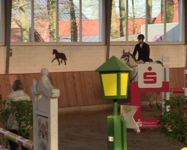 Reitturnier Werne 2025