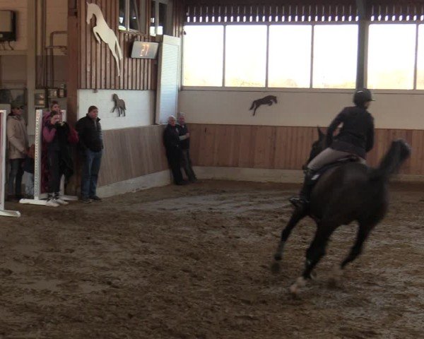 Reitturnier Werne 2025