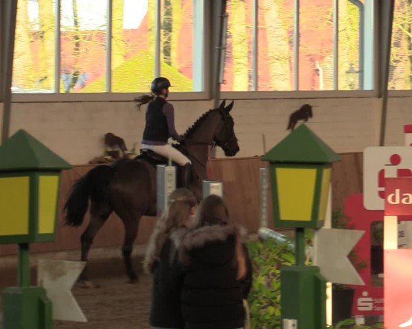 Reitturnier Werne 2025