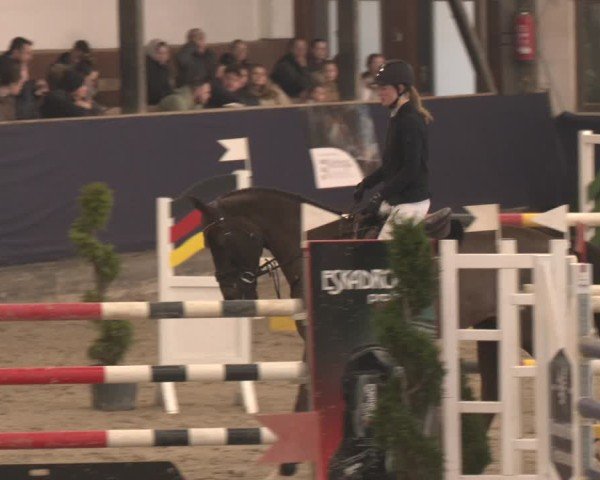 Reitturnier Exter 2025