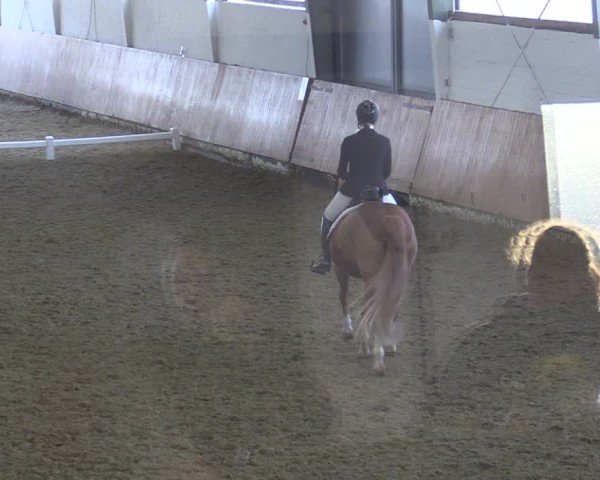 Reitturnier Datteln 2025