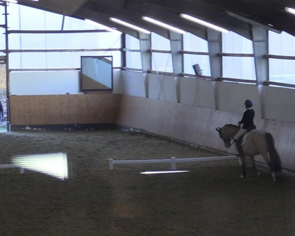 Reitturnier Datteln 2025