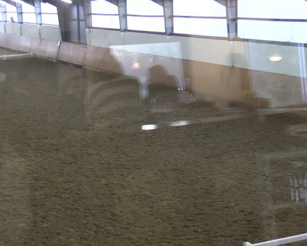 Reitturnier Datteln 2025