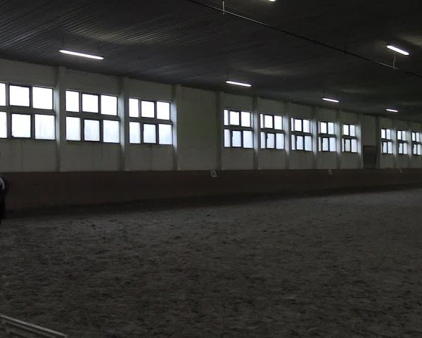 Reitturnier Prussendorf 2025