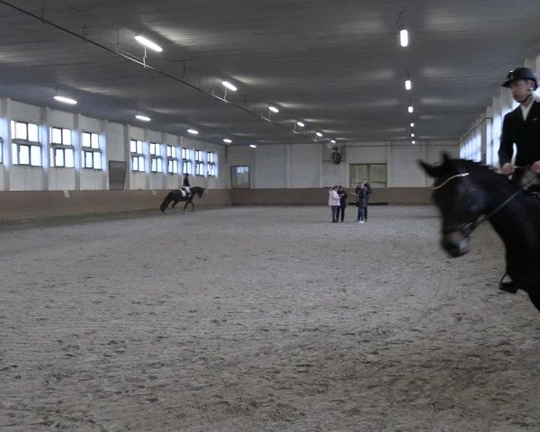 Reitturnier Prussendorf 2025