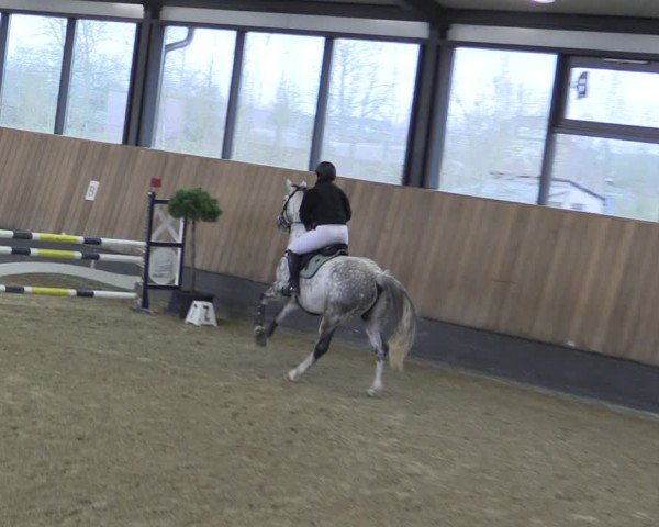 Reitturnier Zwickau 2025