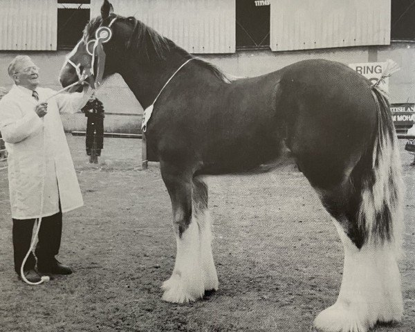 stallion Highfield Omaha (Clydesdale, 1999, from Dillars Leader)