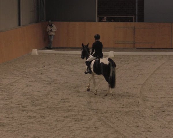 Reitturnier Güstrow/Cavallo Arena 2021